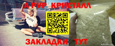 ПСИЛОЦИБИНОВЫЕ ГРИБЫ Камышлов