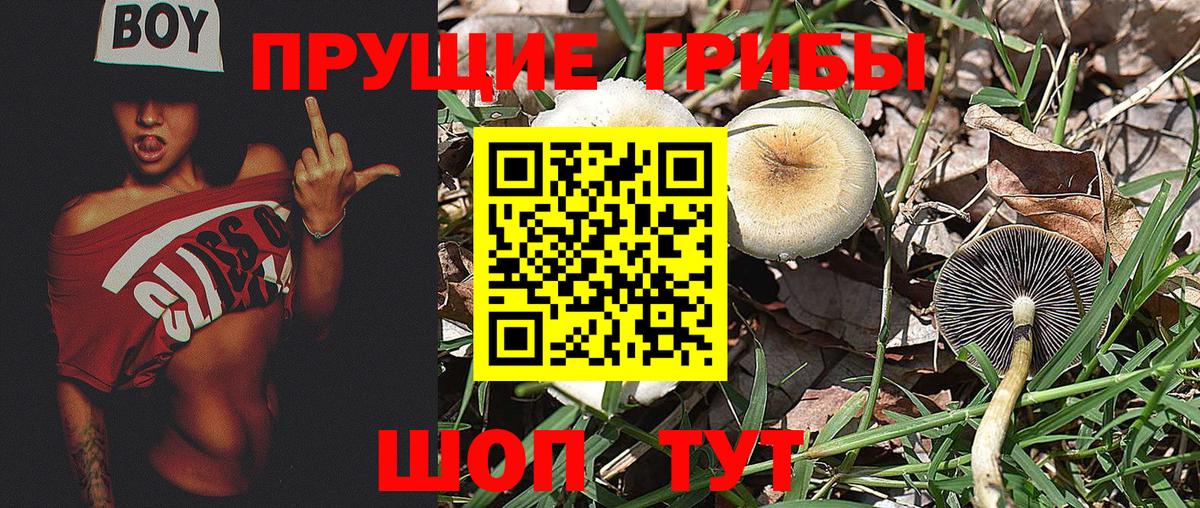 Меф МЯУ МЯУ кристаллы  Кетамин  Купить наркотики  Cocaine  Вход с VPN  MDMA  Котлас  A PVP СОЛЬ кристаллы  ГАШИШ  Канабис 