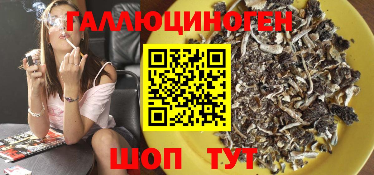 Псилоцибиновые грибы Cubensis Котлас