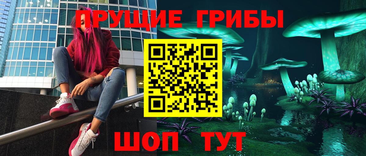 Котлас  Галлюциногенные грибы Cubensis  Вход с VPN  Галлюциногенные грибы Psilocybine cubensis 