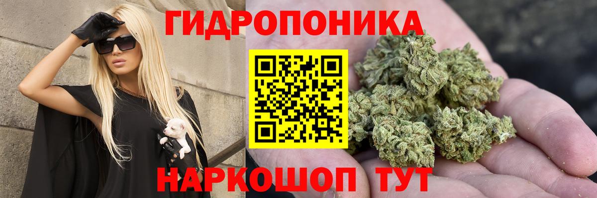 Бошки Шишки Bruce Banner Котлас